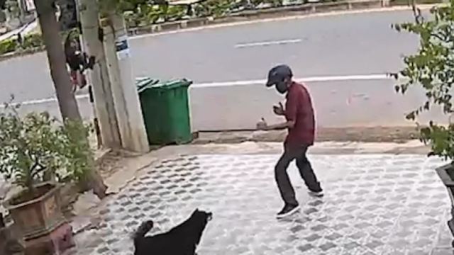 Μεθυσμένος τύπος τρόμαξε σκυλιά με ψευτοκινήσεις κουνγκ-φου