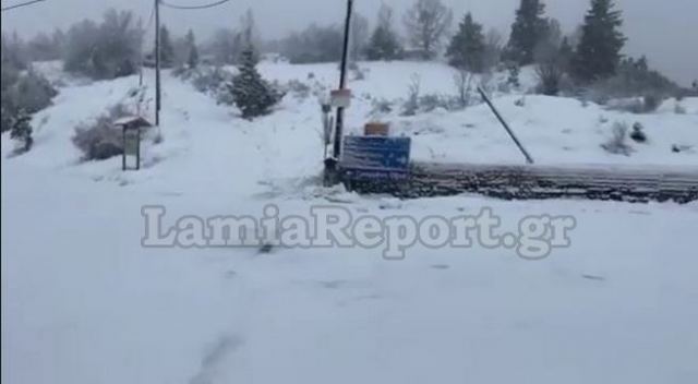 Ισχυρή χιονόπτωση στη Δυτική Φθιώτιδα &amp; την Ευρυτανία (ΒΙΝΤΕΟ)