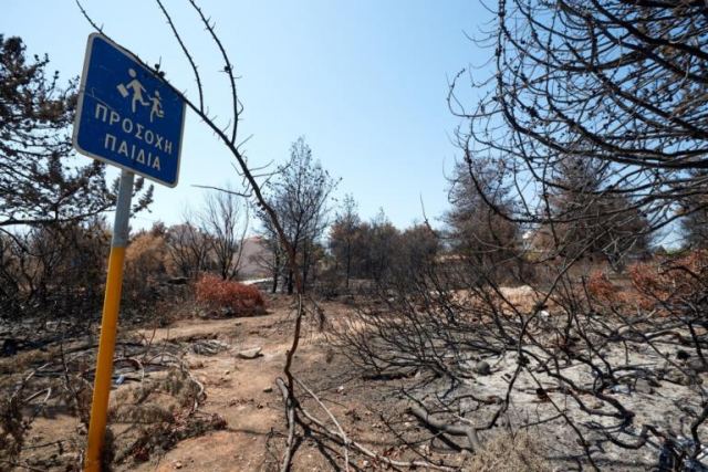 1980 – 2017: Πάνω από 16 εκατομμύρια στρέμματα δασών έχουν κάψει οι φωτιές στην Ελλάδα