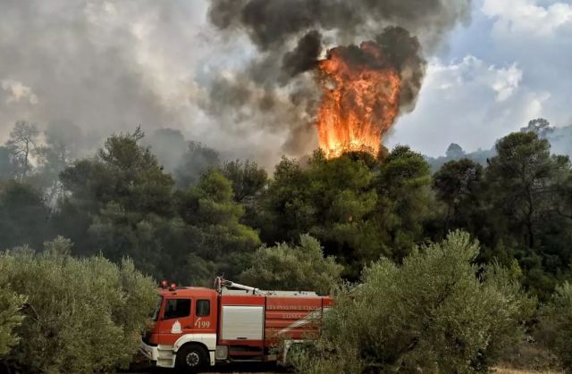 Αργολίδα: Φωτιά στην Προσύμνη – Επιχειρούν ισχυρές πυροσβεστικές δυνάμεις