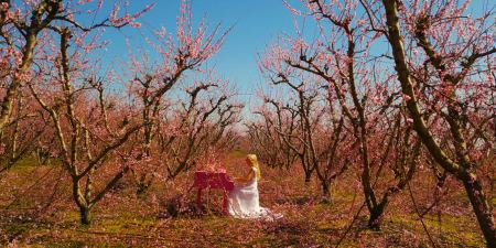 H Έλενα Ξυδιά ανάμεσα σε οκτώ δισεκατομμύρια ανθισμένα λουλούδια σε ένα μαγευτικό μουσικό βίντεο