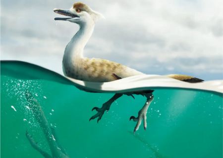 Ανακαλύφθηκε νέο είδος σαρκοβόρου δεινοσαύρου με «αεροδυναμικό» σώμα σαν του πιγκουίνου
