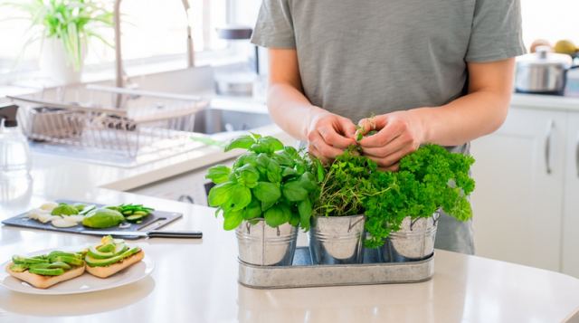Θωρακίστε την υγεία σας με βότανα από την… κουζίνα σας