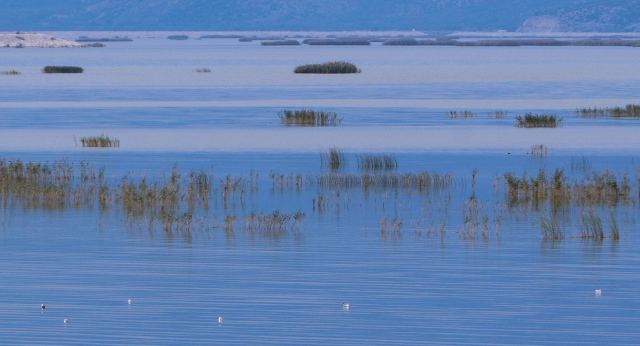 Λίμνη Κάρλα: Σήραγγα 10 χλμ προς το Αιγαίο, σε τρία χρόνια οι καλλιέργειες - Οι 5 προτάσεις Λέκκα