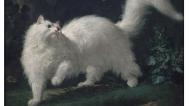 Μια πρωτότυπη έκθεση με γάτες στην ιστορία της τέχνης