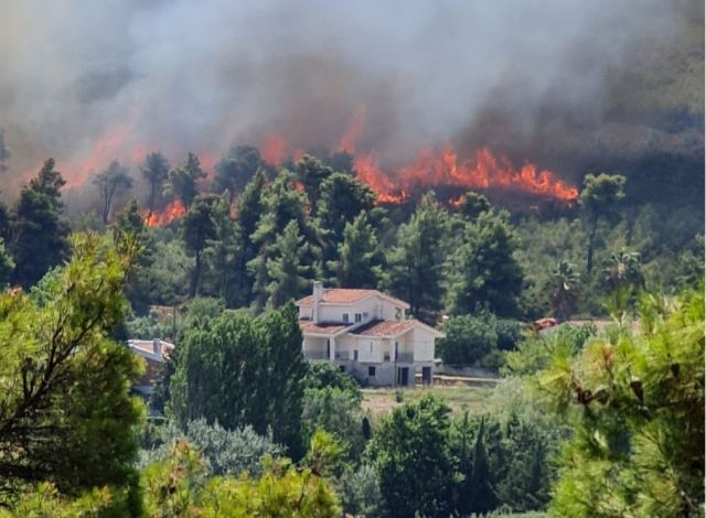 Φωτιά στη Σταμάτα: Εκκενώθηκε ο οικισμός «Γαλήνη» -Συναγερμός για την πυρκαγιά, μήνυμα 112 από την πολιτική προστασία