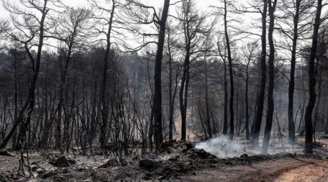 Άρση τηλεφωνικού απορρήτου ζητούν οι αρχές για τη φωτιά στην Εύβοια! Σε τρεις υπόπτους εστιάζεται η έρευνα!