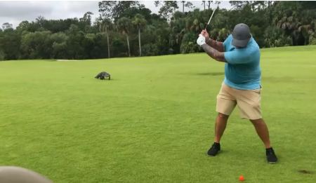 Αλιγάτορας έκανε «ντου» σε γήπεδο του γκολφ - Απίστευτη ψυχραιμία από παίκτη