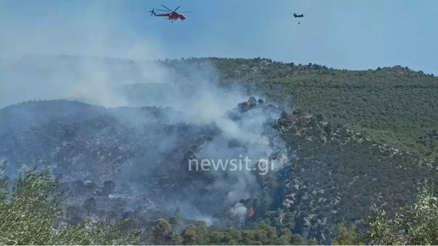 Φωτιά στο Πόρτο Γερμενό: Αγώνας για να μην περάσουν οι φλόγες στην Ψάθα – Κάηκαν σπίτια