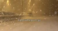 Φθιώτιδα: Έντονη χιονόπτωση στην εθνική οδό - ΒΙΝΤΕΟ