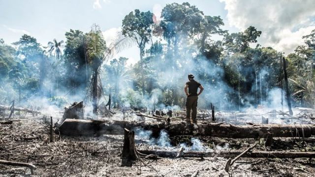 SOS από τον Πρόεδρο της Κολομβίας για τον Αμαζόνιο - 9.500.000 στρέμματα έχουν καταστραφεί στη Βολιβία