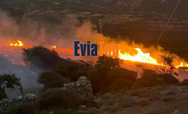 Πυρκαγιά με το καλημέρα στη Νότια Εύβοια