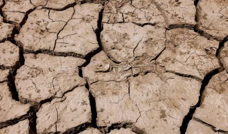 Η χειρότερη ξηρασία στην Ισπανία από το 1981 – Έκτακτα μέτρα για το νερό, απόκοσμες εικόνες