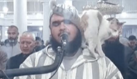 Αλγερία: Γάτα πηδά πάνω σε ιμάμη που προσεύχεται για το Ραμαζάνι