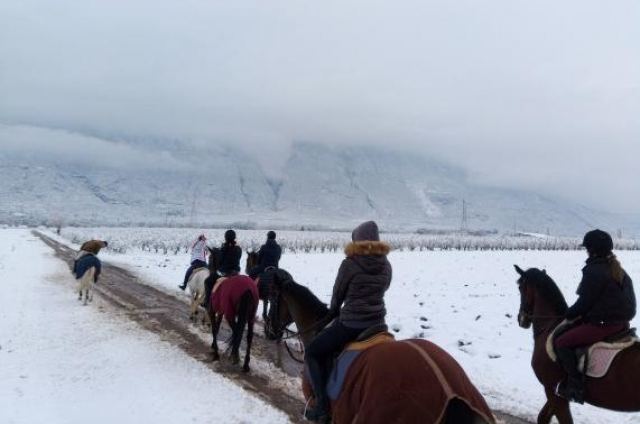 Λαμία: Μια ξεχωριστή βόλτα με άλογα στα χιόνια!