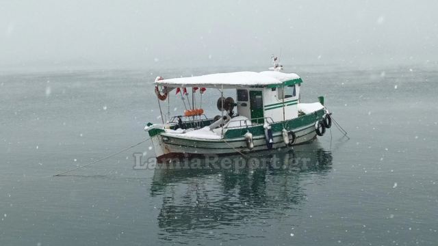 Ισχυρή χιονόπτωση ξανά στη Γλύφα - Το ‘στρωσε στις βάρκες (ΒΙΝΤΕΟ-ΦΩΤΟ)