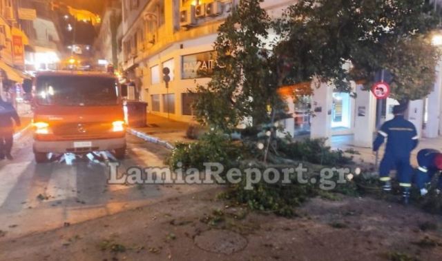 Λαμία: Έπεσε δέντρο στο κέντρο της πόλης (ΒΙΝΤΕΟ-ΦΩΤΟ)