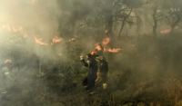 Αλίαρτο: Υπό μερικό έλεγχο η πυρκαγιά σε αγροτοδασική έκταση της περιοχής