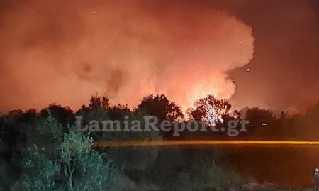 Δύο πυρκαγιές στην περιοχή της Τιθορέας (ΦΩΤΟ)