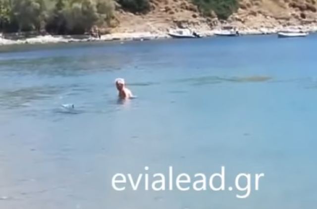 Δελφίνι βγήκε σε παραλία της Σκύρου για να παίξει με τον κόσμο! - video