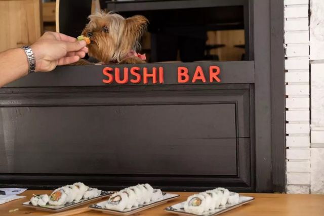 Εστιατόριο σερβίρει σούσι για σκύλους στη Θεσσαλονίκη