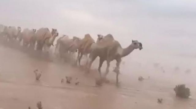 Πλημμύρισε ακόμη και η... έρημος στη Σαουδική Αραβία