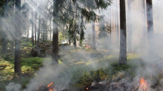 ΓΓΠΠ: Πολύ υψηλός κίνδυνος πυρκαγιάς (κατηγορία κινδύνου 4) το Σάββατο για 5 περιφέρειες της χώρας