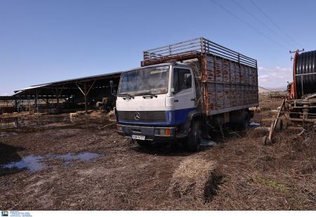Τηλεφωνική γραμμή ενημέρωσης για τους πληγέντες από την κακοκαιρία αγρότες και κτηνοτρόφους στη Θεσσαλία