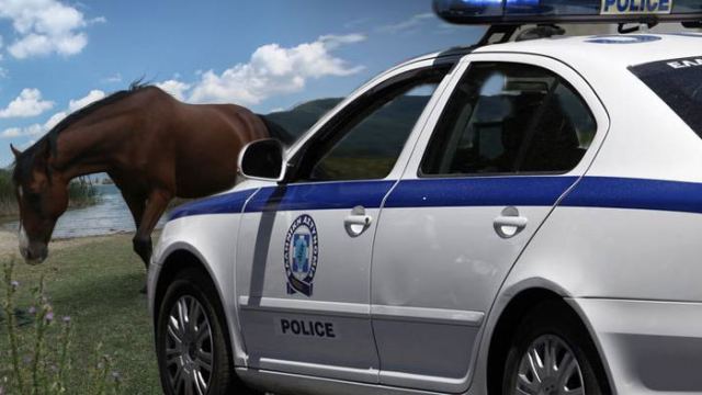 Λαμία: Σύλληψη 32χρονου μετά από καταγγελία για υποσιτισμένα άλογα