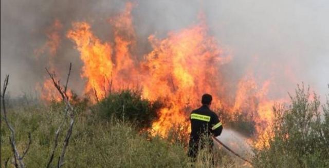 Λαμία: Πρόλαβαν την επικίνδυνη πυρκαγιά οι Πυροσβέστες