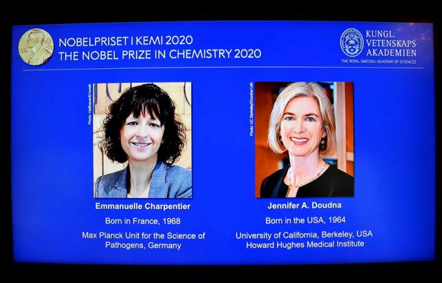 Νόμπελ Χημείας 2020: Σε δύο γυναίκες για την &quot;επανεγγραφή του κώδικα της ζωής&quot;
