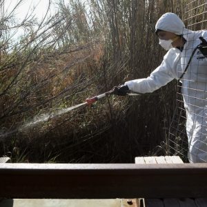Φθιώτιδα: Ψεκασμοί σε όλους τους δήμους από 7 έως 11 Σεπτμεβρίου