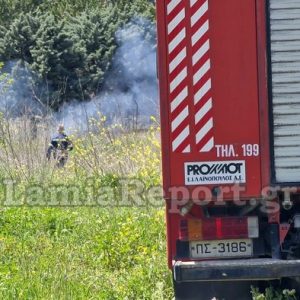 Πυρκαγιά σε ξερά χόρτα κοντά στα Λουτρά Υπάτης - Άμεση επέμβαση της Πυροσβεστικής
