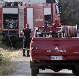 Δύο συλλήψεις και πρόστιμα άνω των 3.000 ευρώ από την Π.Υ. Οινοφύτων