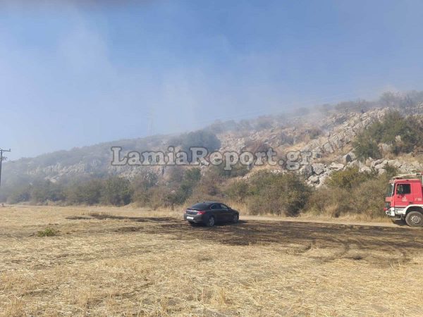 Τα πρόστιμα καλά κρατούν για φωτιές στην ύπαιθρο