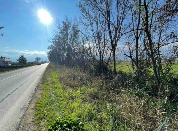 Έρχεται ρύθμιση για πρόστιμα και για τους δήμους που δεν συμμετέχουν στον καθαρισμό των οικοπέδων