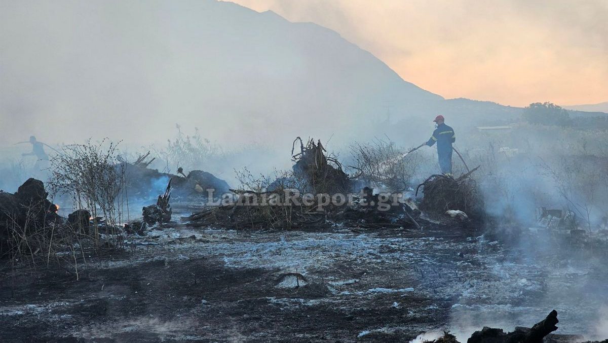 Βαρύ πρόστιμο στη Βόρεια Εύβοια για φωτιά σε αγροτική έκταση