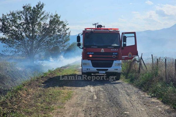 Πολλά τα πρόστιμα σε Φθιώτιδα και Στερεά για άναμμα φωτιάς