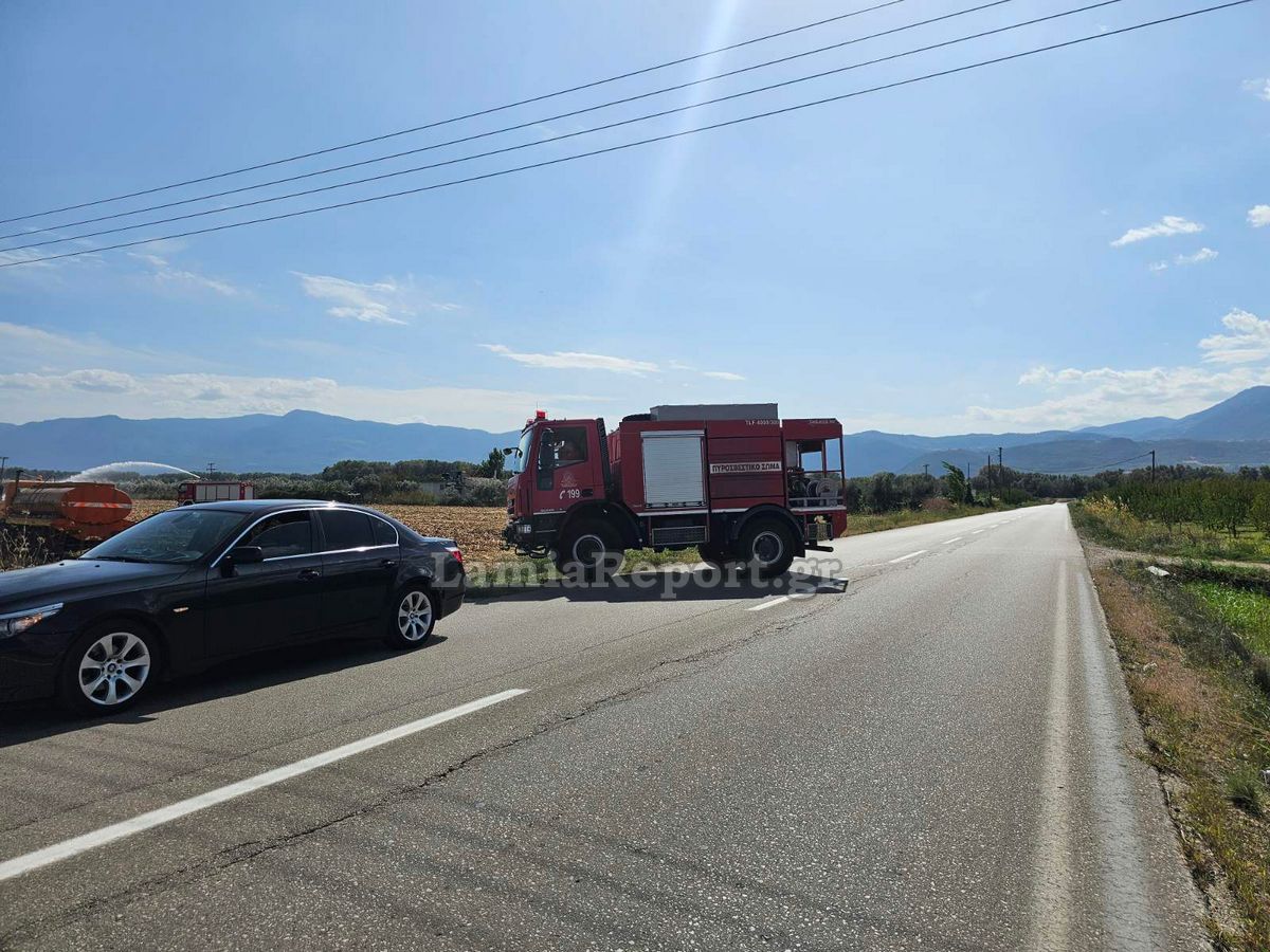 Λαμία: Πυρκαγιά δίπλα στην εθνική οδό
