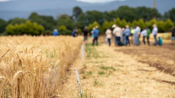 Σκάνδαλο ΟΠΕΚΕΠΕ: Μεγάλη αύξηση μεταβιβάσεων γης τις τελευταίες ημέρες από αγρότες υπό το βάρος των ερευνών