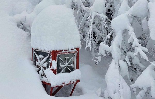Στερεά: Οι περιοχές που θα δουν χιόνι μέχρι το Σάββατο το μεσημέρι