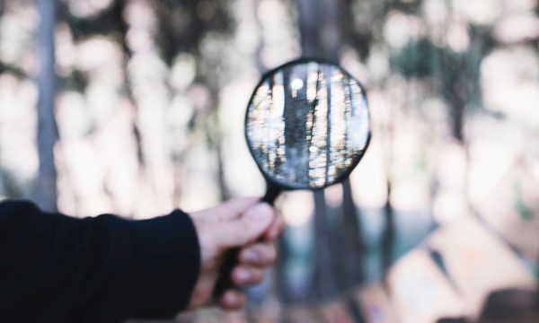 Επιμελητήριο Φθιώτιδας: Την Τετάρτη η παρουσίαση των αποτελεσμάτων της έρευνας