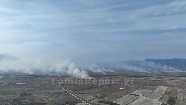 Πυροσβεστική: Τι ισχύει από σήμερα 1η Νοεμβρίου για τις φωτιές στην ύπαιθρο