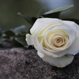 Συλλυπητήριο μήνυμα της Περιφερειακής Διεύθυνσης Εκπαίδευσης για τον χαμό του 16χρονου μαθητή