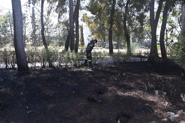 Σύλληψη άνδρα στο Κυριάκι - Πρόστιμο στη Σκύρο