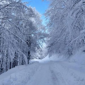 Χωρίς αλυσίδες η σύνδεση Γαρδικίου - Γραμμένης Οξυάς
