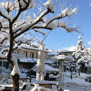 Στις 9 η προσέλευση των μαθητών στο Δήμο Διστόμου - Αράχωβας - Αντίκυρας