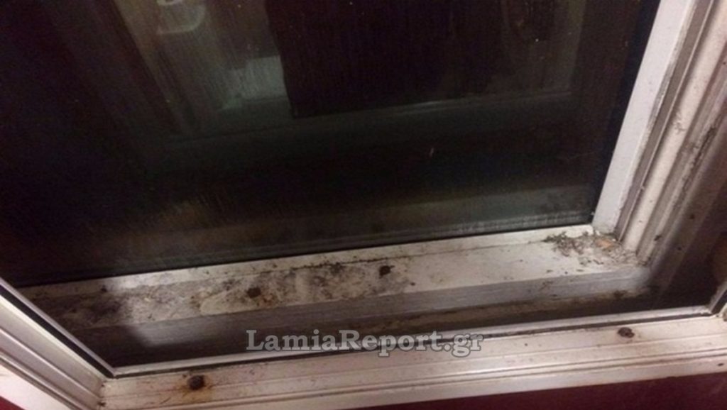 Συμμορία ανηλίκων πίσω από πολλές κλοπές καταστημάτων στη Λαμία - Μία σύλληψη