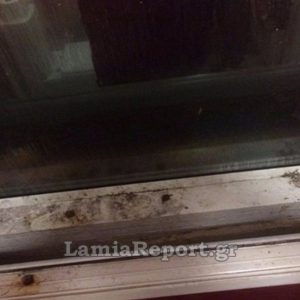 Συμμορία ανηλίκων πίσω από πολλές κλοπές καταστημάτων στη Λαμία - Μία σύλληψη