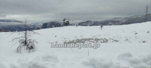 Αίσιο τέλος στην περιπέτεια των Γαλλίδων στον Όλυμπο